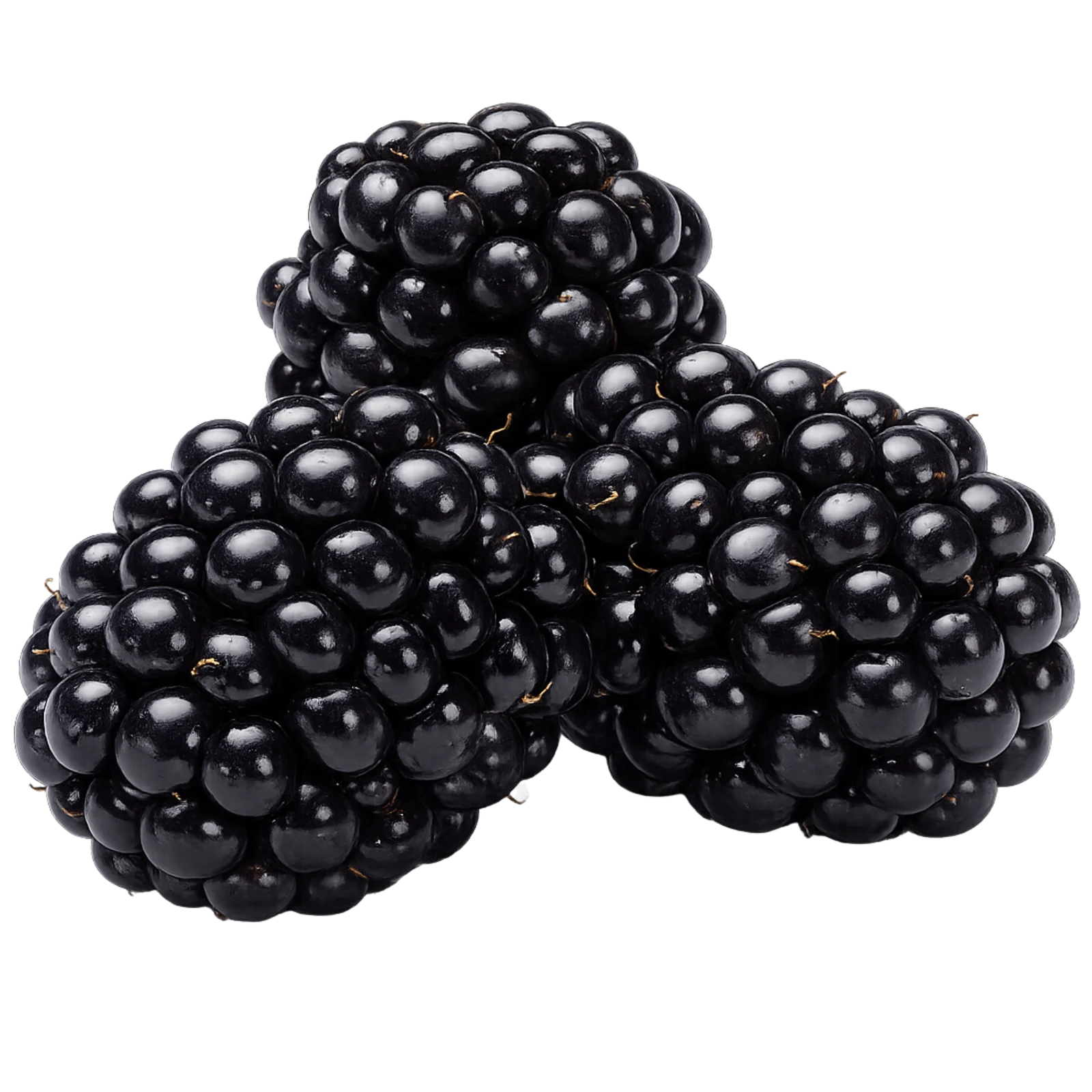 Blackberries