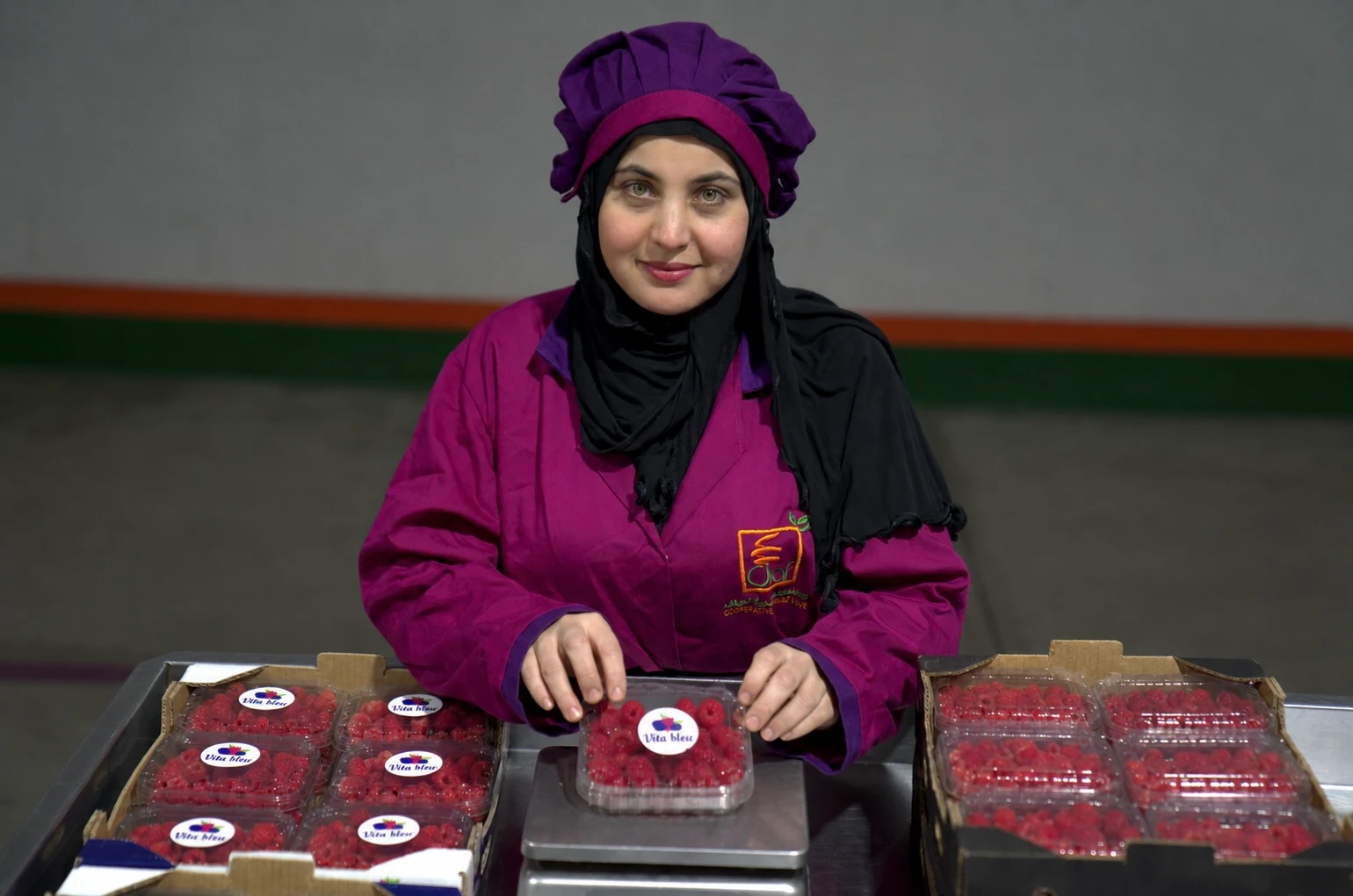 Harvest and field operations