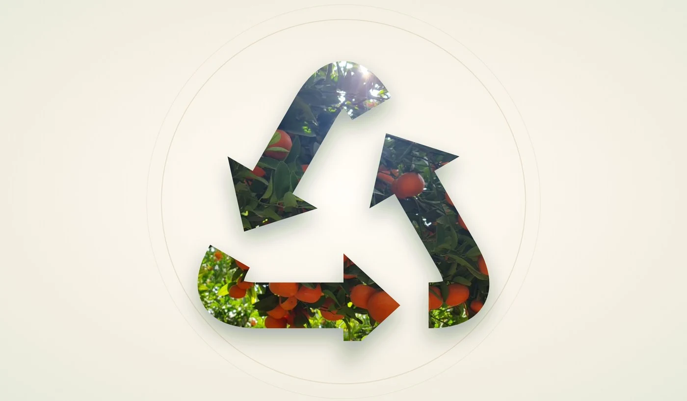 Recycling symbol filled with VitaSouss orchard foliage